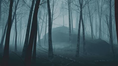 Image result for Horror Forest Map in Unity