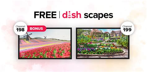 Image result for DishTV Scapes