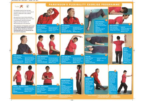 Image result for Exervise Program