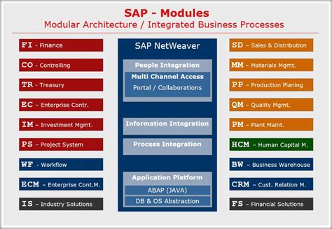 Image result for Functions of SAP Software