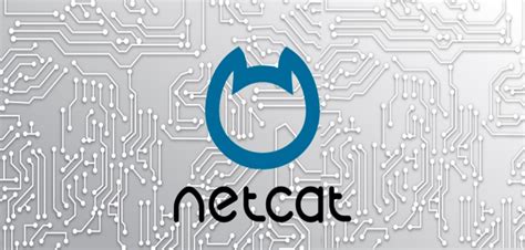 Send IP Netcat માટે ઇમેજ પરિણામ