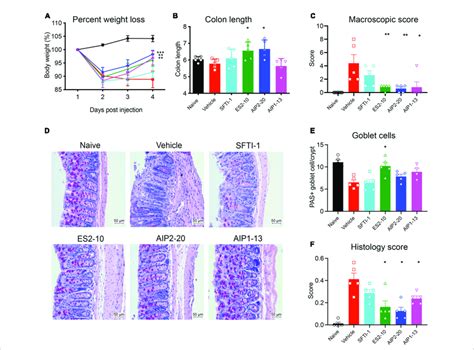 Colitis GraphPad Test に対する画像結果