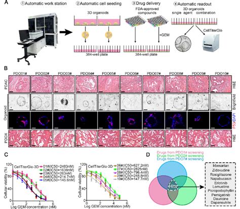 Image result for High-Throughput Screening Icon