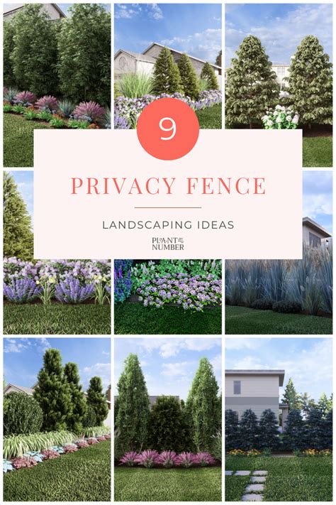 Image result for Privacy Fence Landscaping