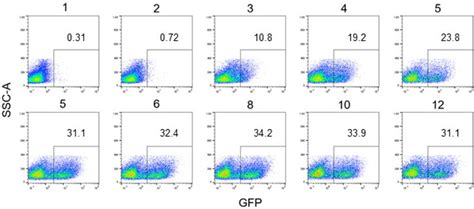 Afbeeldingsresultaten voor GFP Scatter Plot Flow Cytometry
