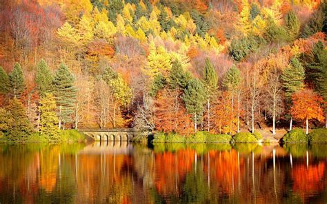 Image result for Fall Lock Screen for Desktop