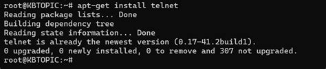 Image result for Telnet Command On Array Load Balancer