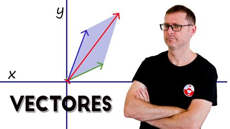 Image result for Vector Lineal