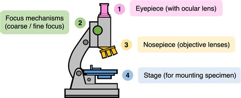 Toradh íomhá ar Specimen Measuring Microscope