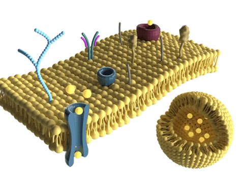 نتيجة الصورة لـ Graphical Abstract of Research Paper