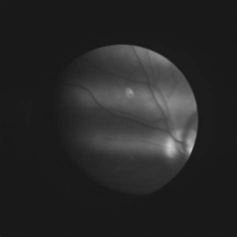 How to Make a Curvy Horizontal Line in Python に対する画像結果