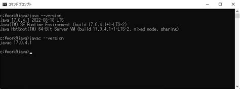 Image result for Java Verzije