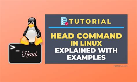 Image result for Head of Command Example