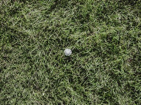 Image result for Computer Courses Background Images