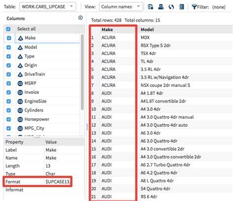Toradh íomhá ar SAS Format Statement Example