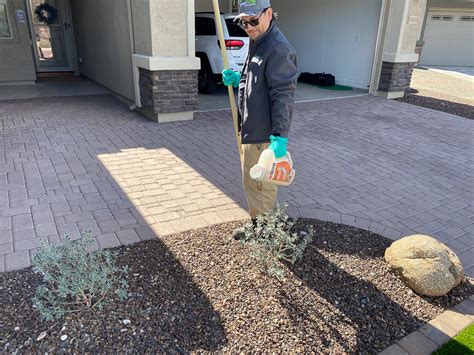 Afbeeldingsresultaten voor Green Home Pest Control