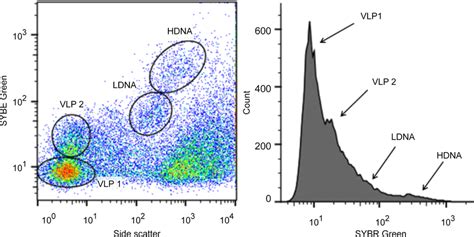 Image result for Flow Cytometry Histogram