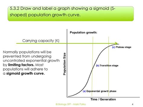 Exponential Growth Graph に対する画像結果