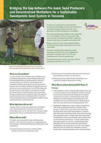 Image result for Pre Basic Seed