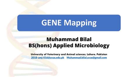 Image result for Simple Genetic Map