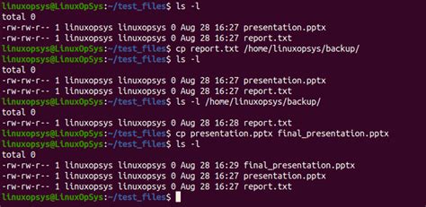 Image result for File Directory Commands of Unix