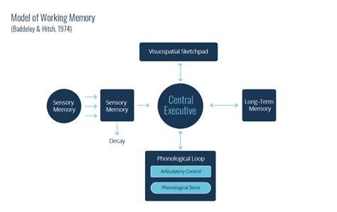 Image result for Memory Processing Model