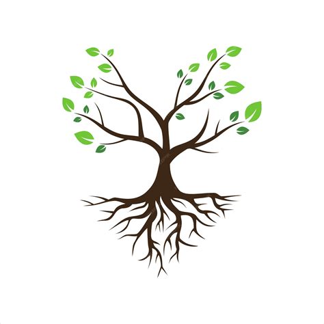 Toradh íomhá ar Tree with Roots Icon