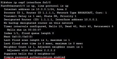 Show IP Ospf Interface Command に対する画像結果