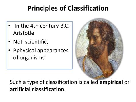 Image result for Principles of Classification Acronym