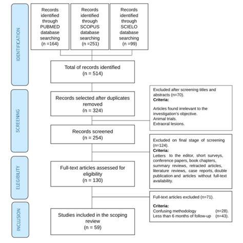 Branch of Selection Flowchart に対する画像結果