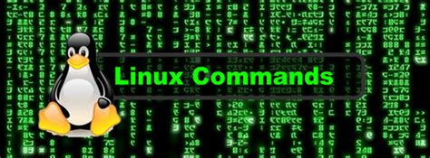 Linux OS Basic Commands に対する画像結果