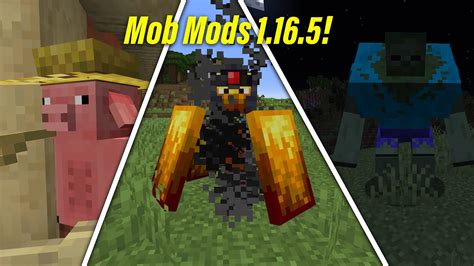 Image result for Minecraft Better Kill Mob Mod