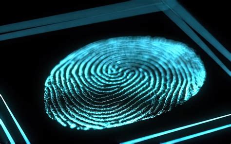 Image result for Fingerprint Software