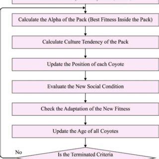 Image result for Flow Chart of Addition Algorithm in COA