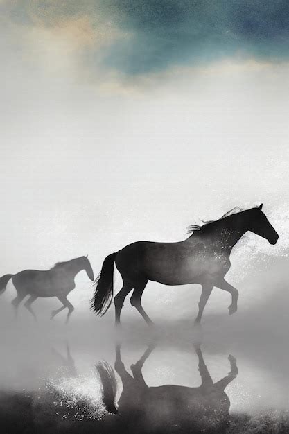 Afbeeldingsresultaten voor Geometry Project Animals