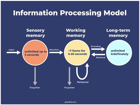 Image result for Memory Processing Model