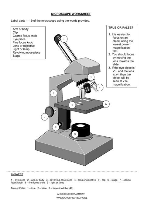 Image result for Compound Light Microscope Parts Worksheet