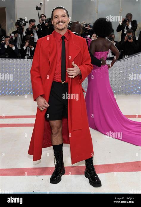 Image result for Version Museum Pascal