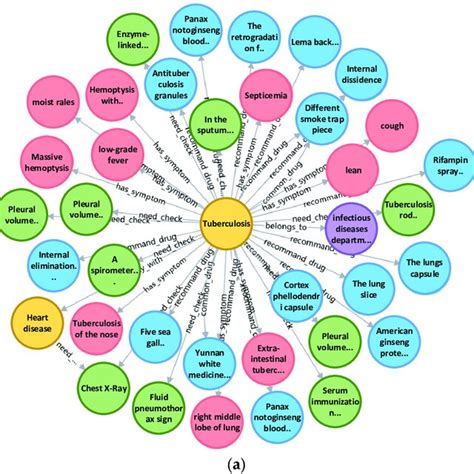 Image result for Patient Knowledge Graph