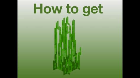 Toradh íomhá ar How to Craft Seaweed in Minecraft