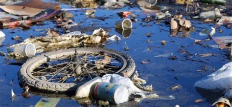 Image result for Problem Web for Environment