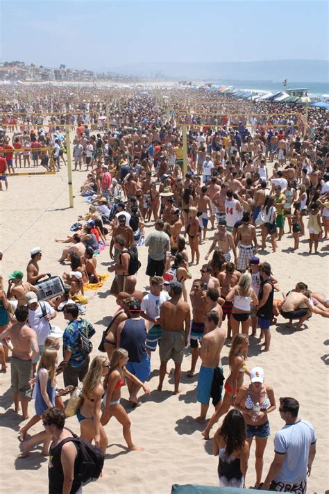 Image result for Java Man Manhattan Beach