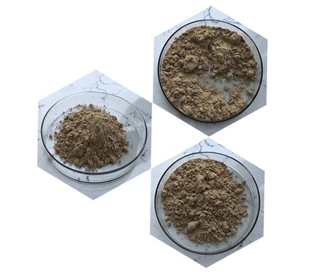 Bacillus Thuringiensis に対する画像結果