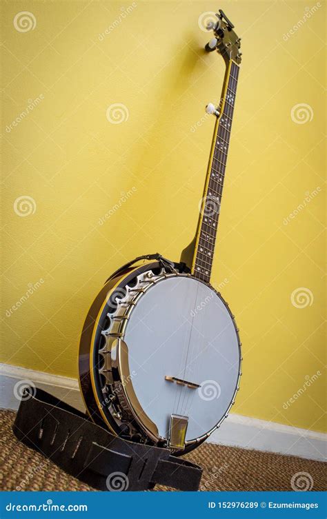 Image result for 5 String Banjo