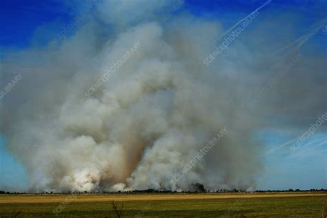 Image result for Controlled Burn Equipment