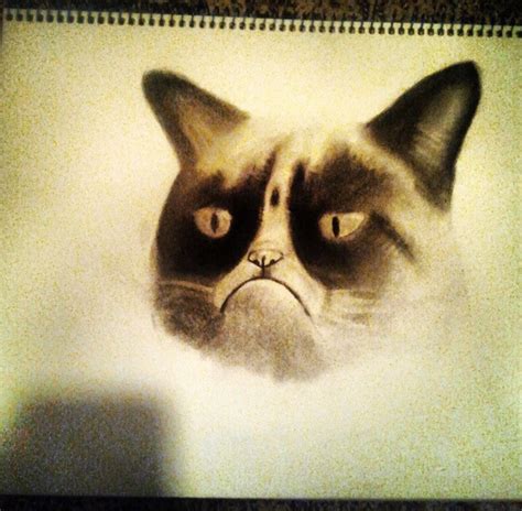Grumpy Cat Pencil Drawing