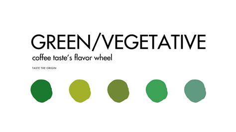 Afbeeldingsresultaten voor Vegetative Porous