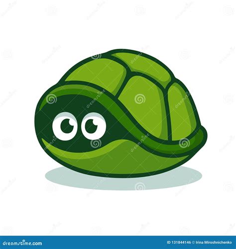 Image result for Turtle Shell Hiding