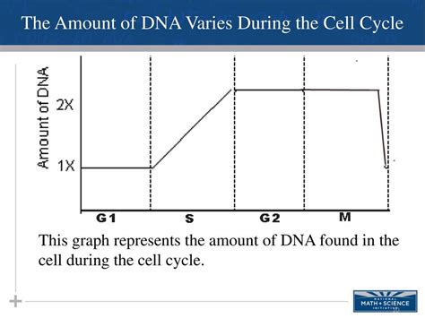 Image result for Call Cycle Graph
