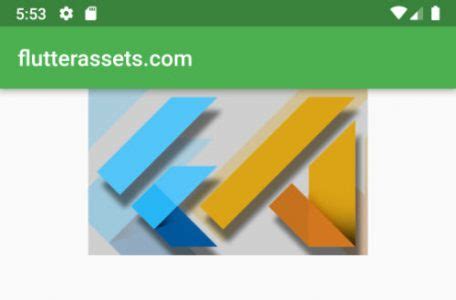 Flutter Network Image Loading に対する画像結果